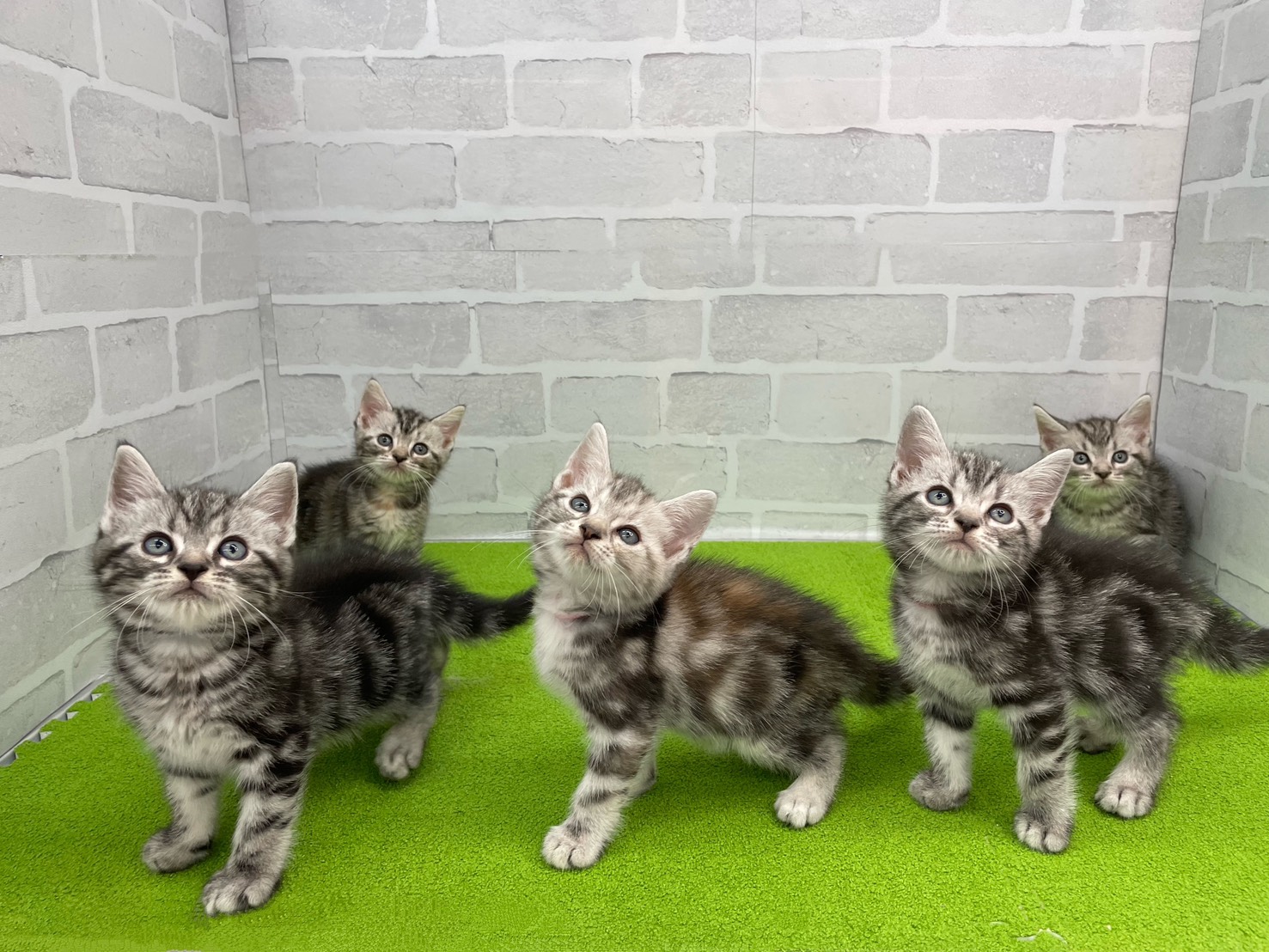 赤ちゃん写真2-3