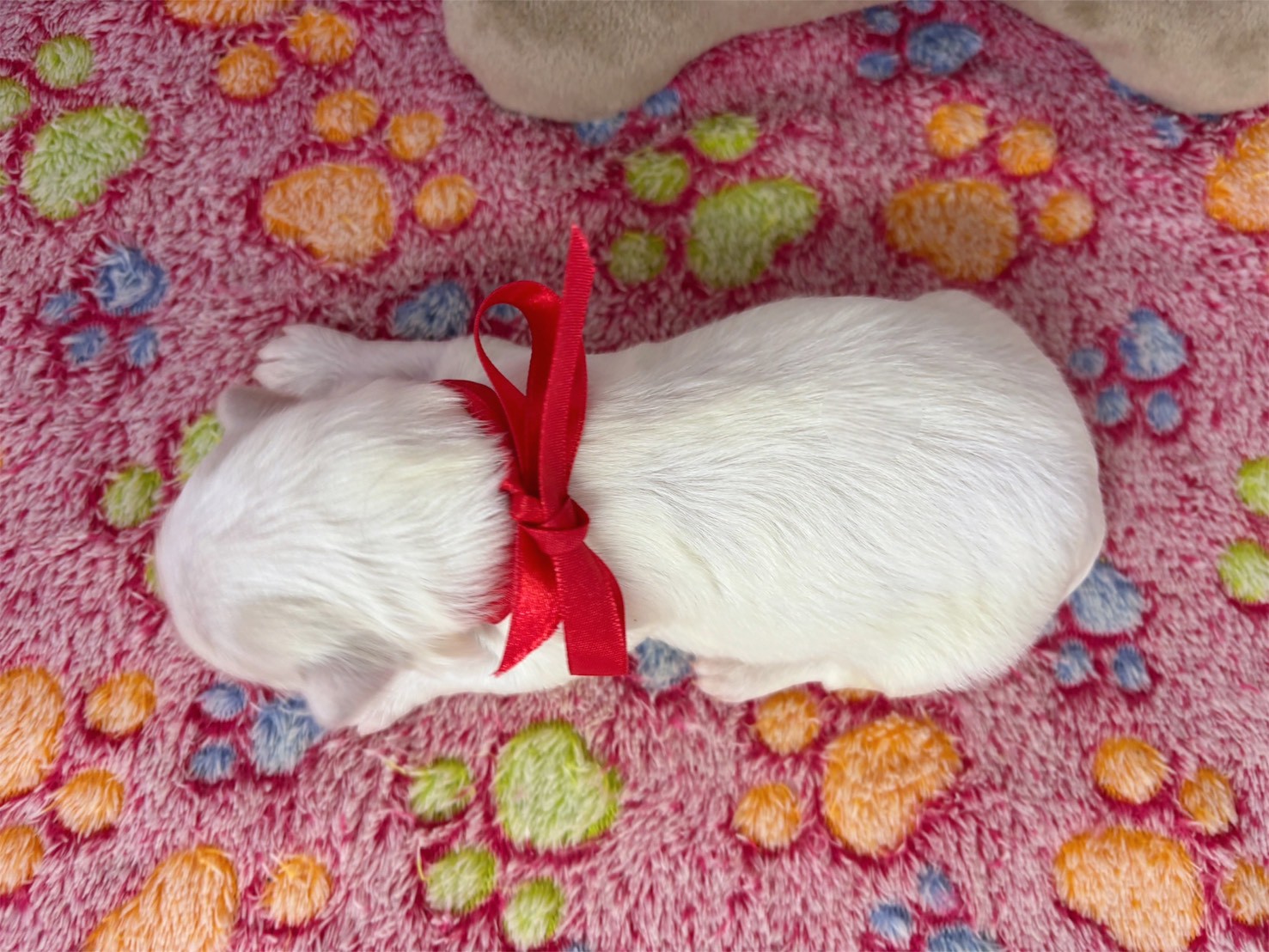 赤ちゃん写真1-3