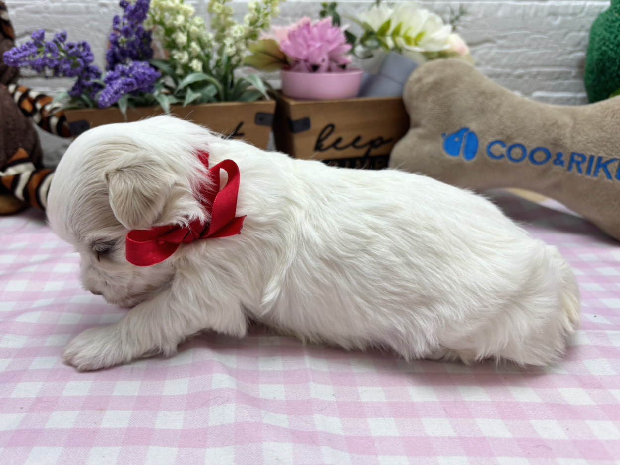 赤ちゃん写真2-2