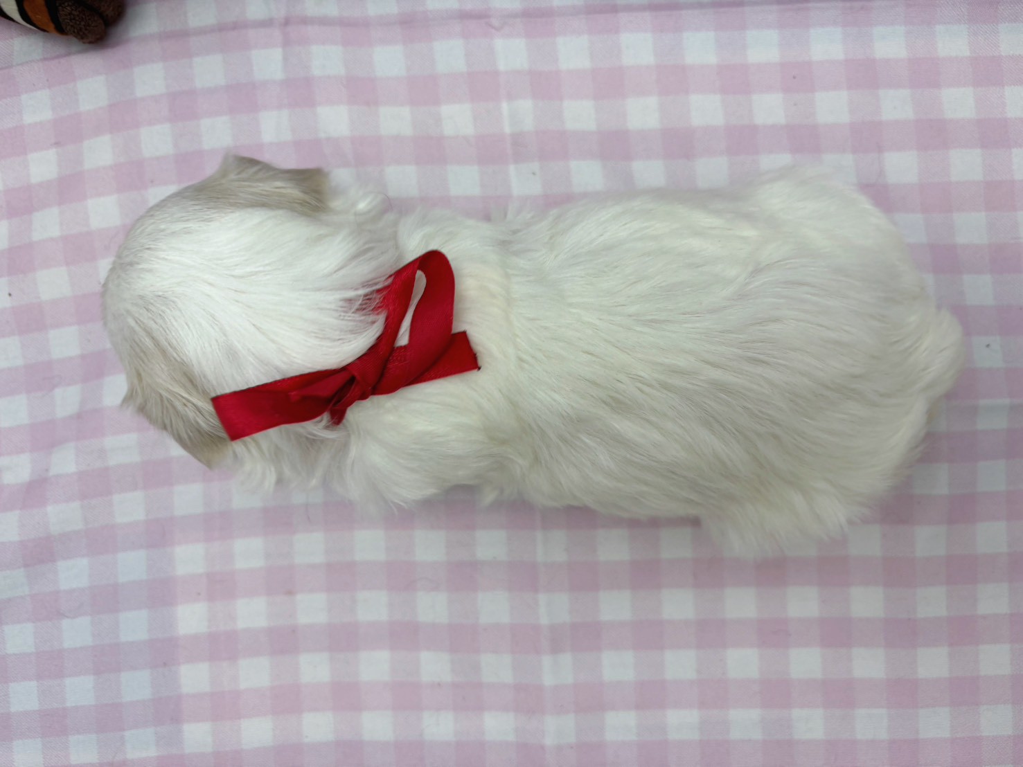 赤ちゃん写真2-3