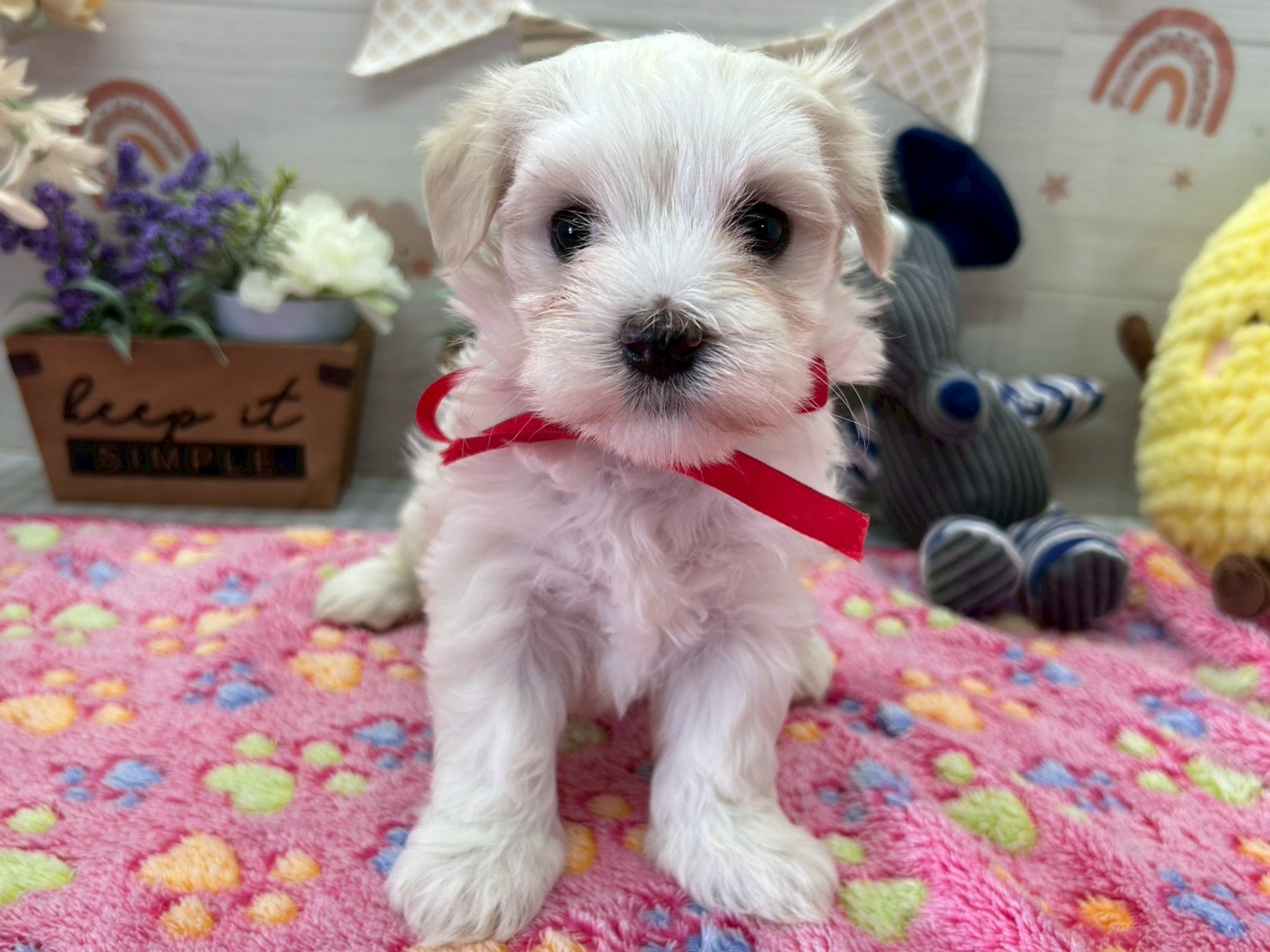 赤ちゃん写真3-1