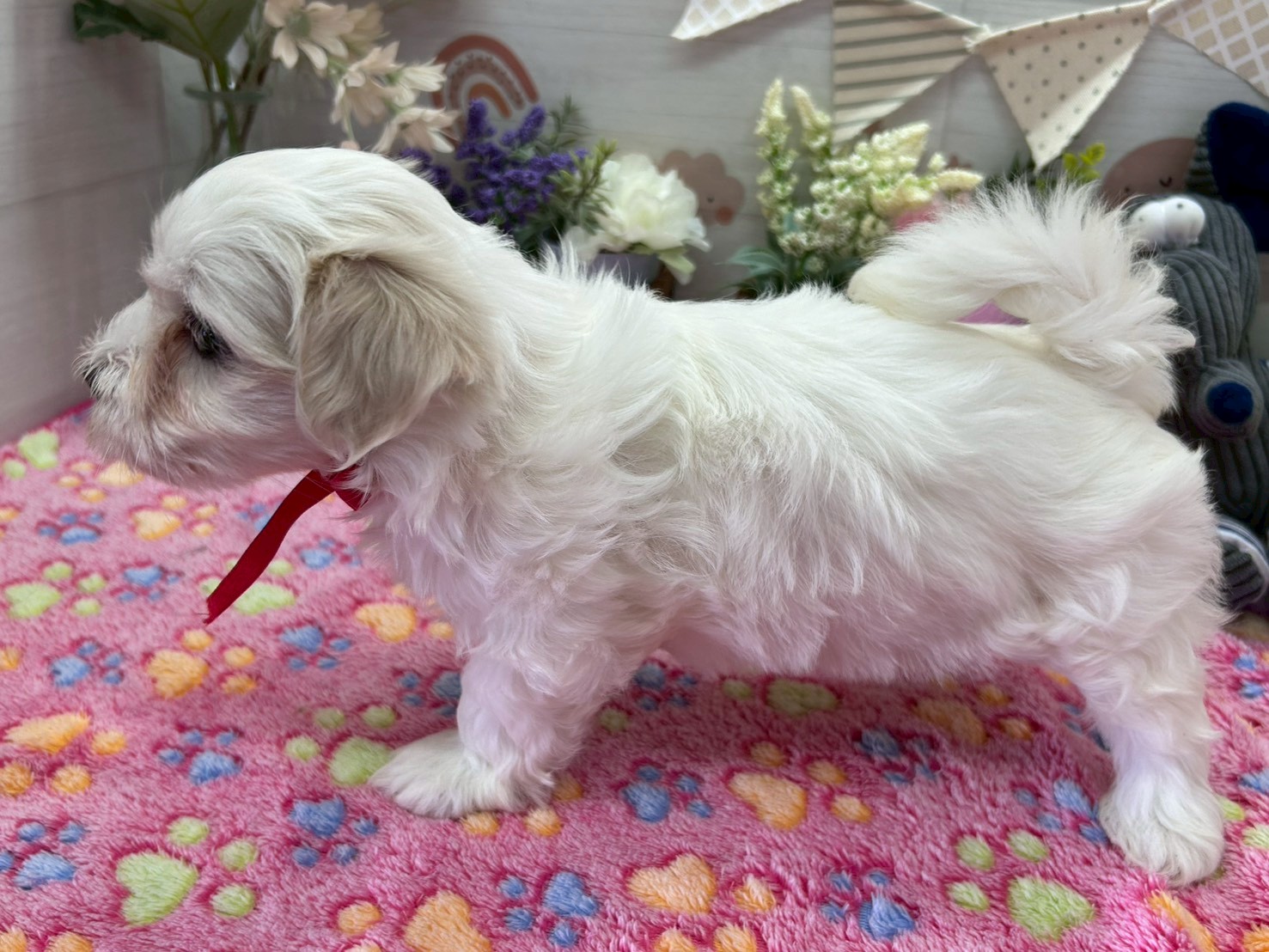 赤ちゃん写真3-2