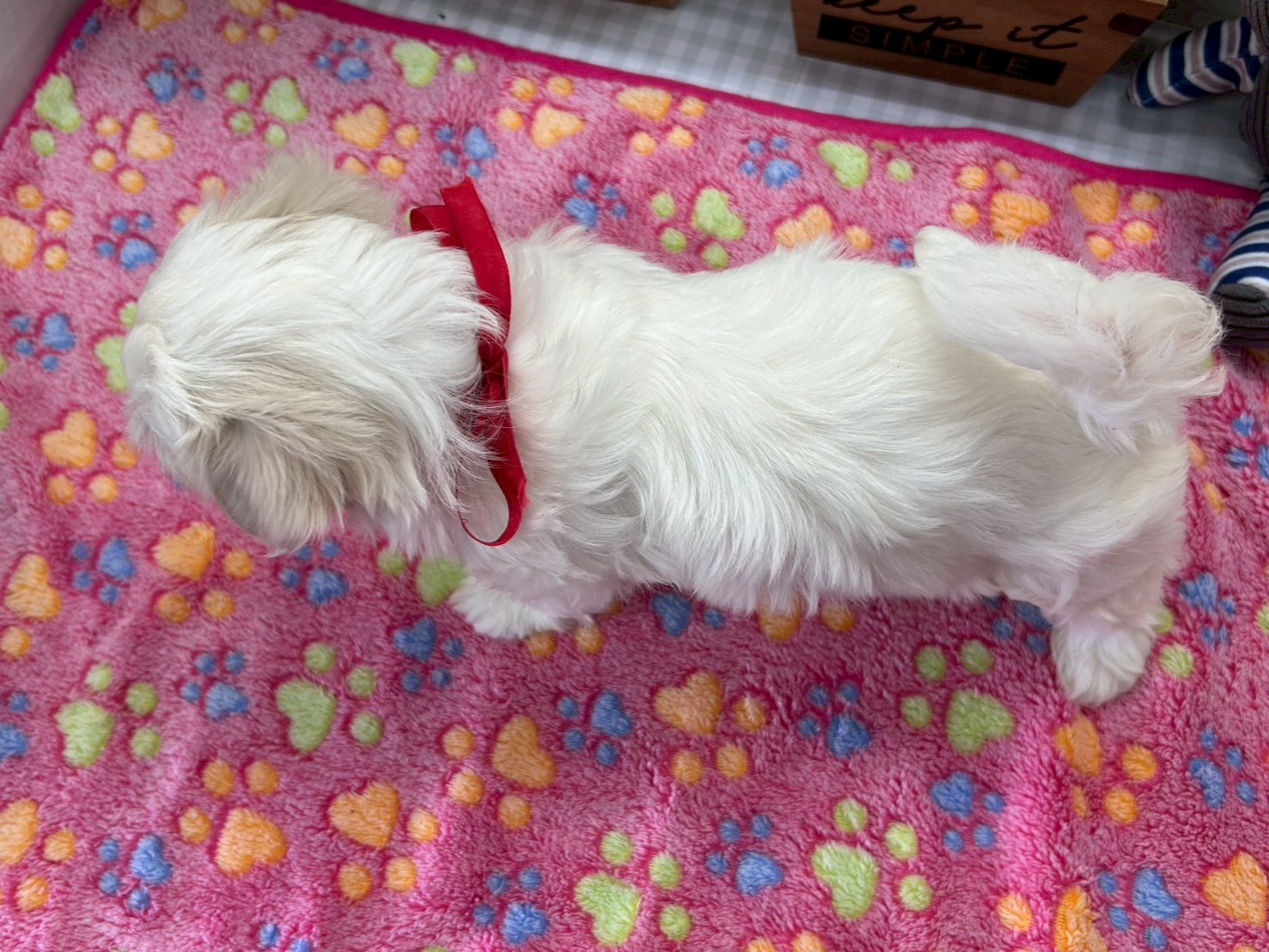 赤ちゃん写真3-3