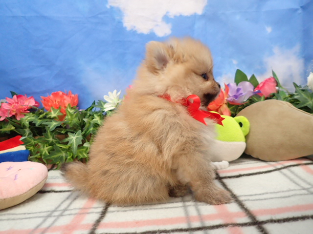 赤ちゃん写真3-2