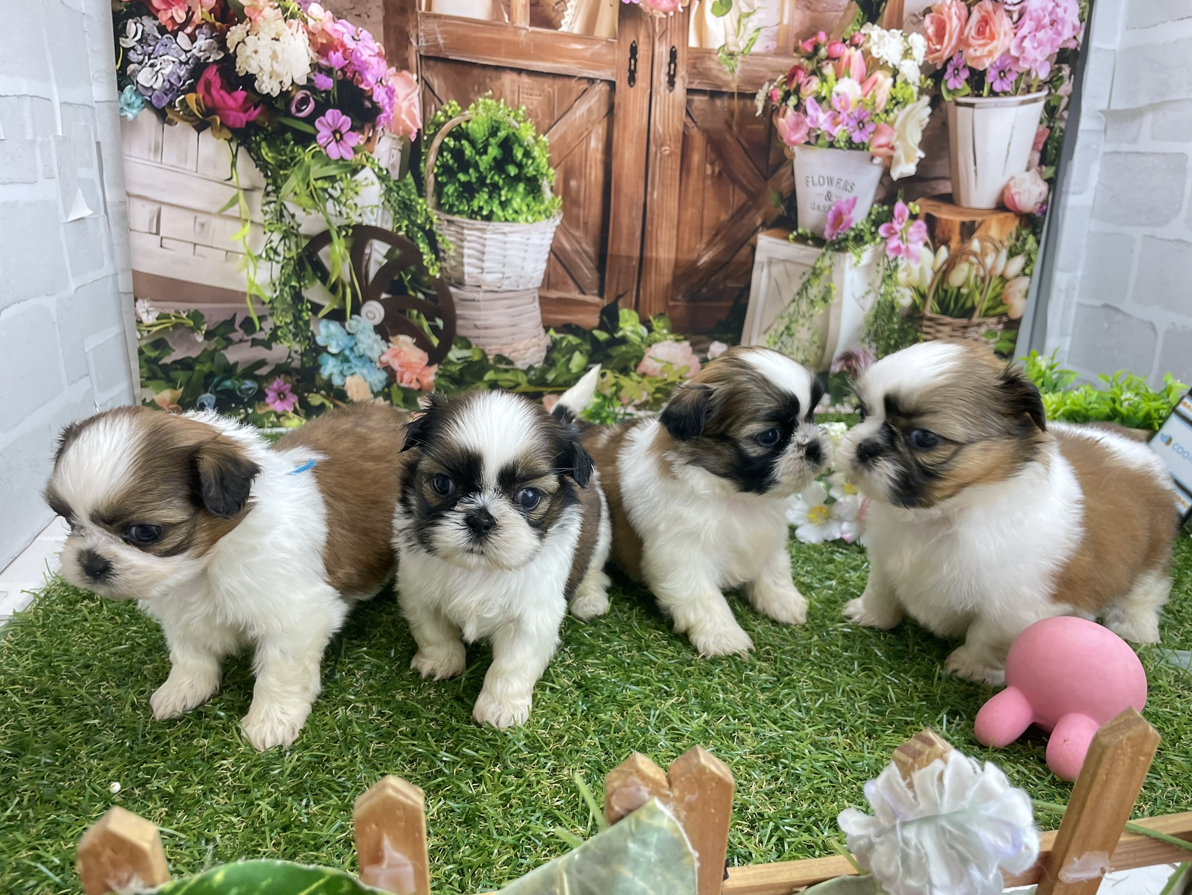 赤ちゃん写真2-3