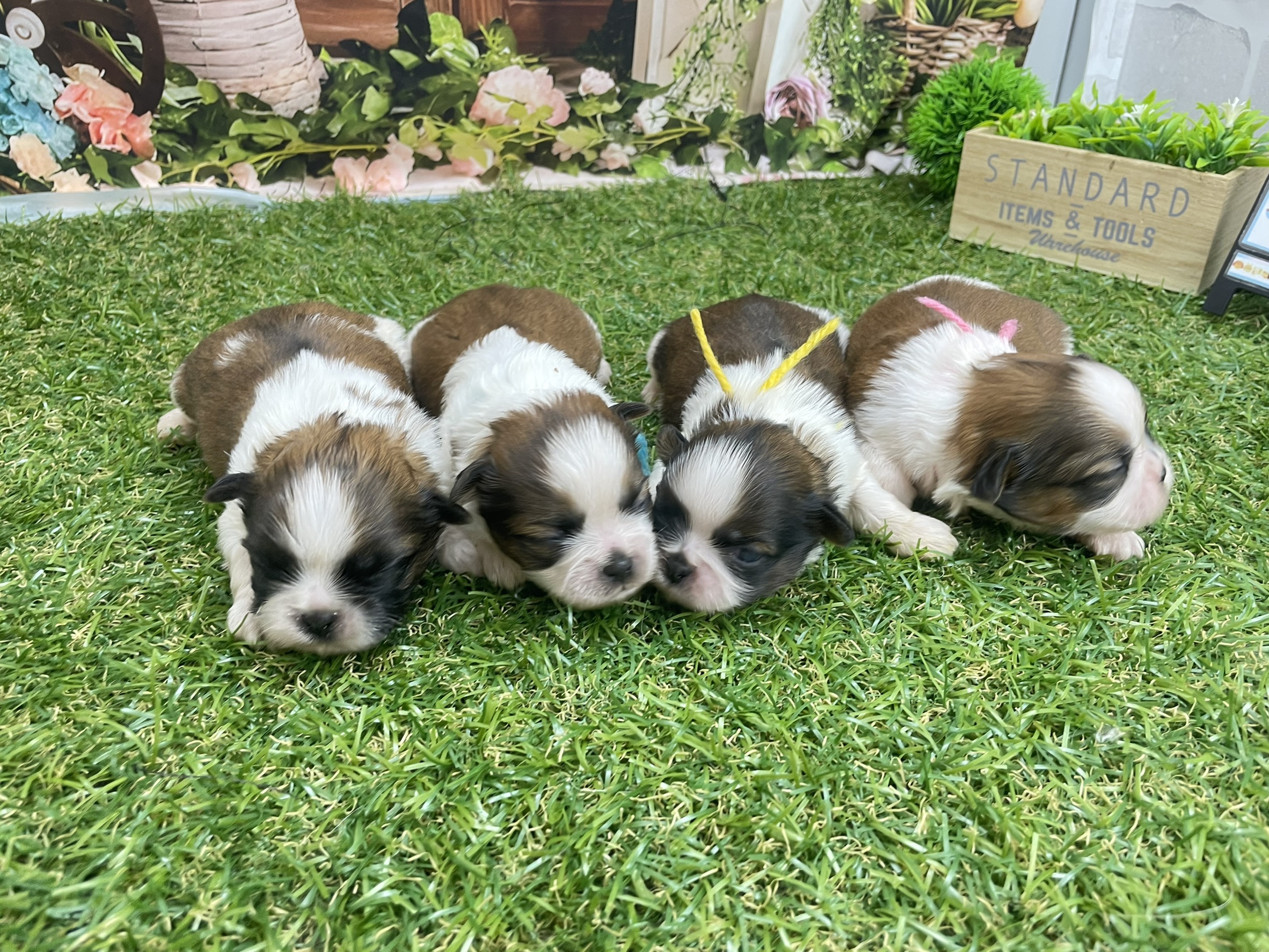 赤ちゃん写真1-3