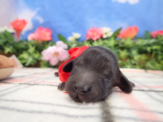 赤ちゃん写真1-1