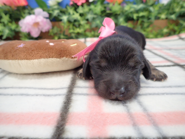 赤ちゃん写真1-1