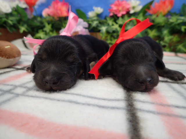 赤ちゃん写真1-3