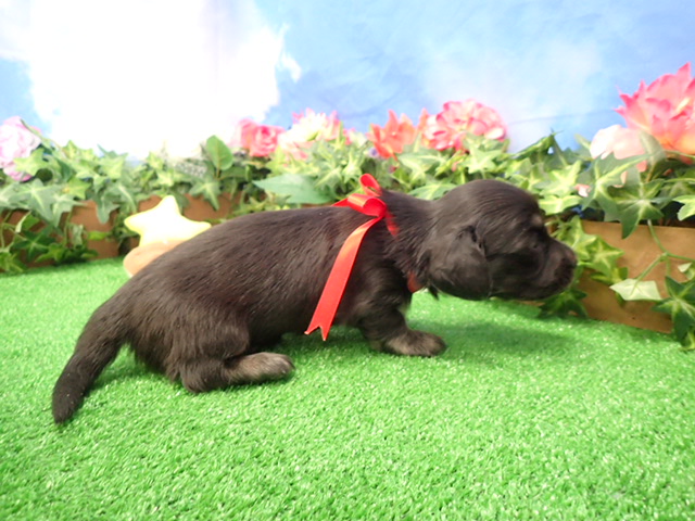 赤ちゃん写真2-2