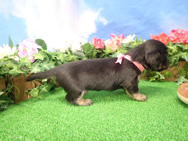 赤ちゃん写真2-2