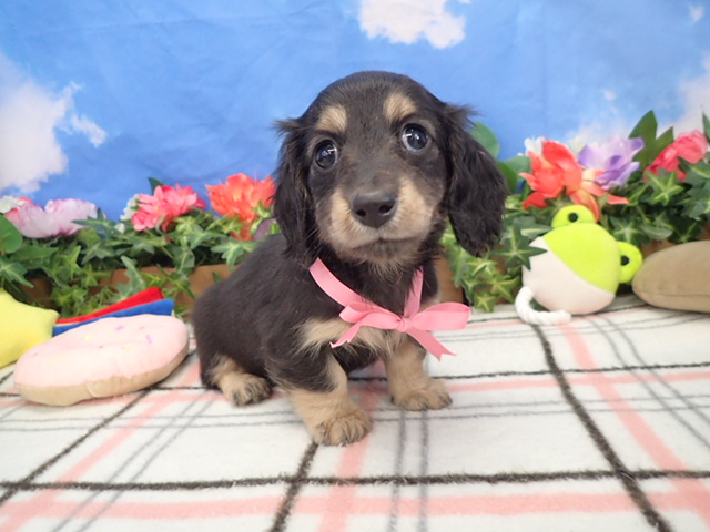 赤ちゃん写真3-1