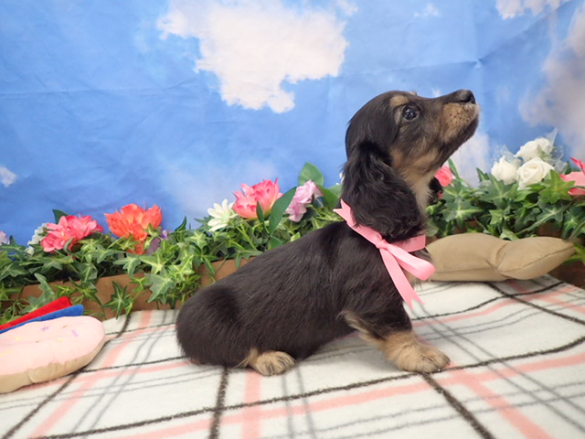 赤ちゃん写真3-2