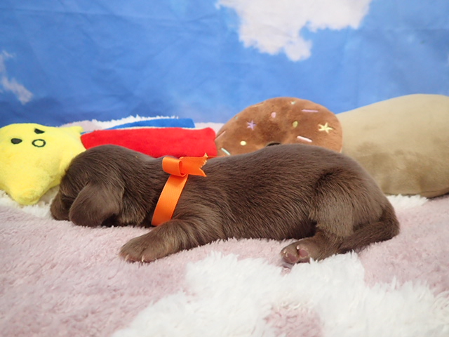 赤ちゃん写真1-2
