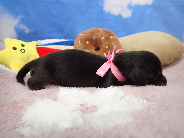 赤ちゃん写真1-2