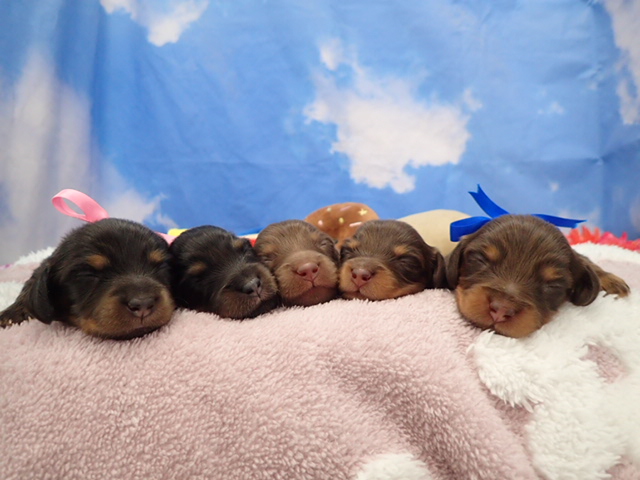 赤ちゃん写真1-3