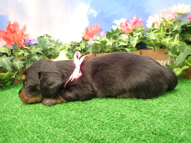 赤ちゃん写真2-2