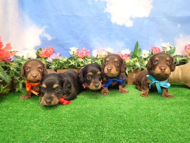 赤ちゃん写真2-3