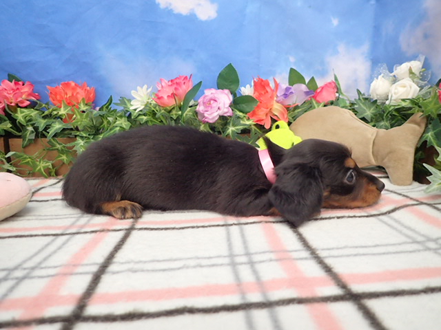 赤ちゃん写真3-2