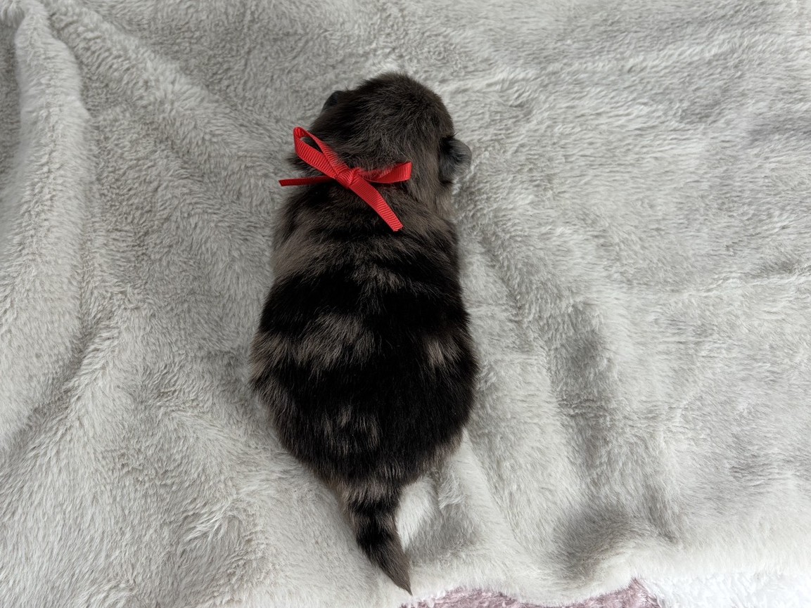 赤ちゃん写真1-3