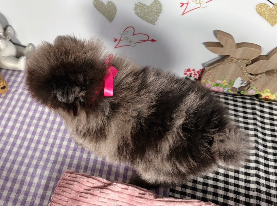 赤ちゃん写真2-3