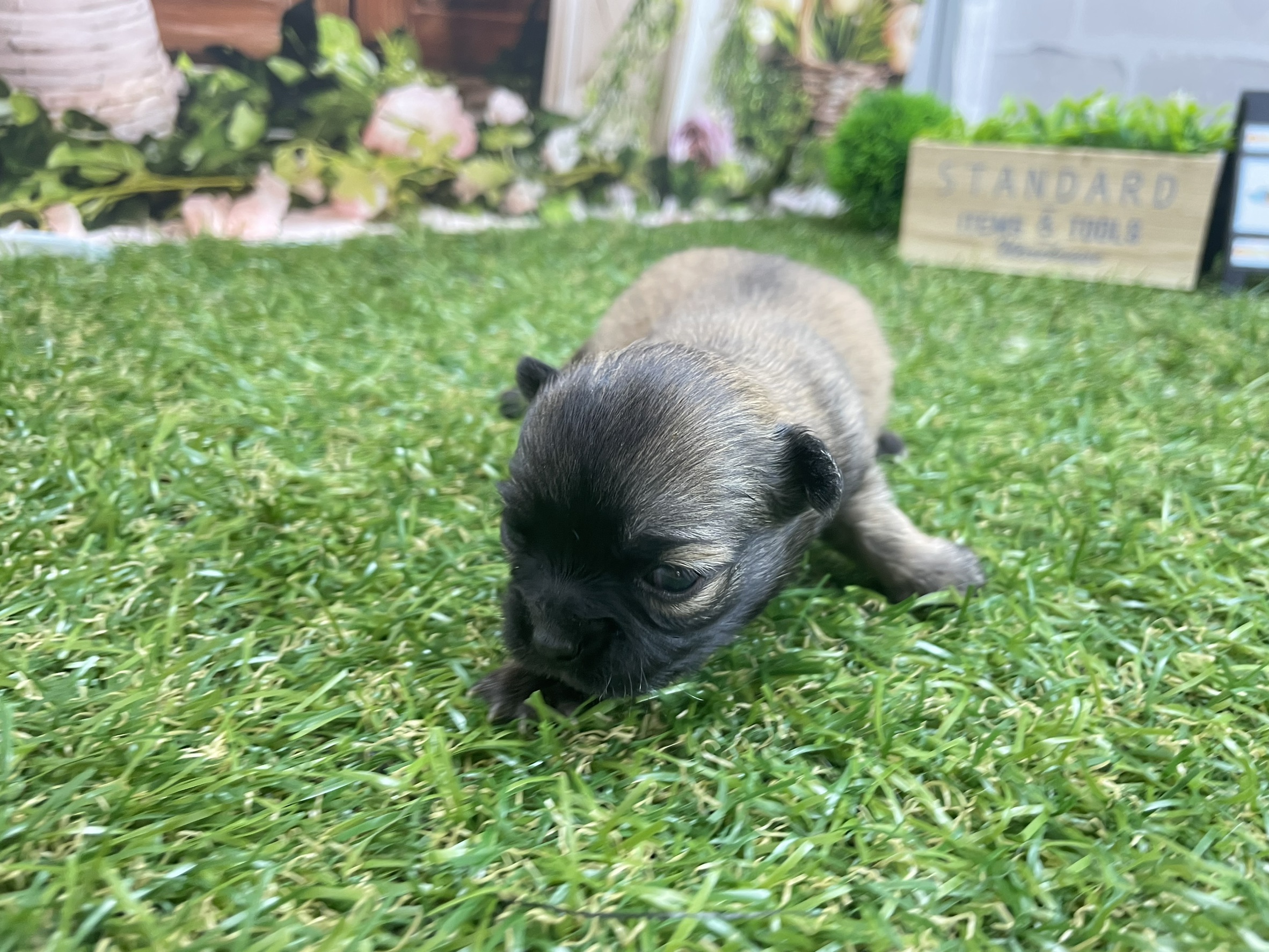 赤ちゃん写真1-1