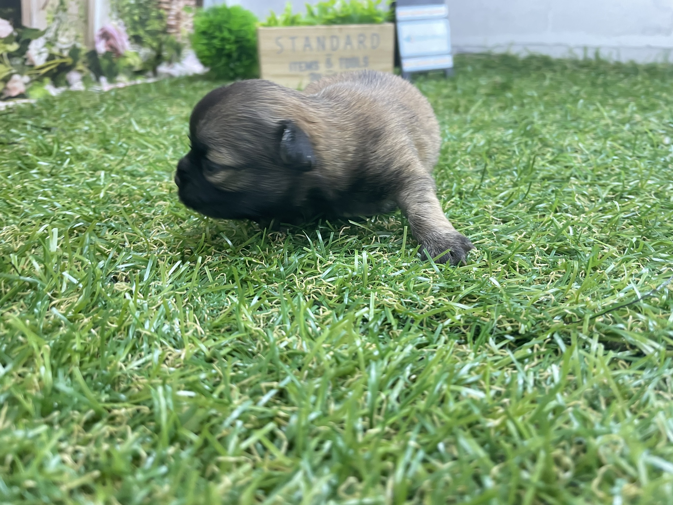 赤ちゃん写真1-2