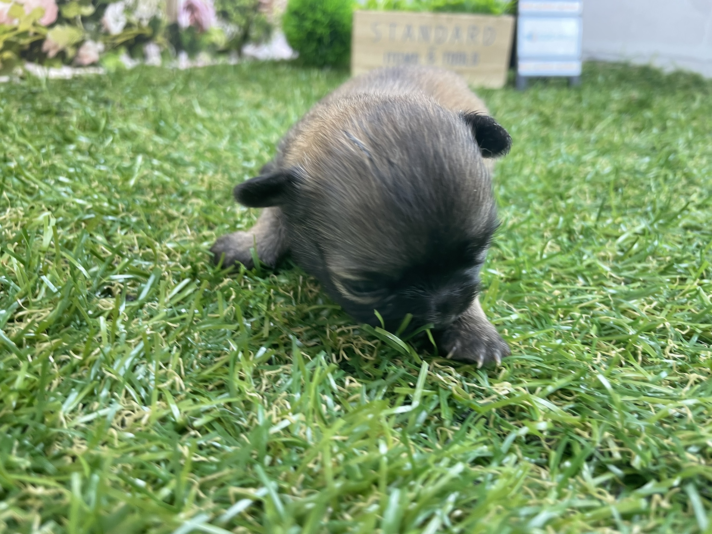 赤ちゃん写真1-3