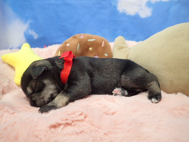 赤ちゃん写真1-2