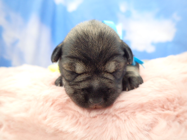 赤ちゃん写真1-1