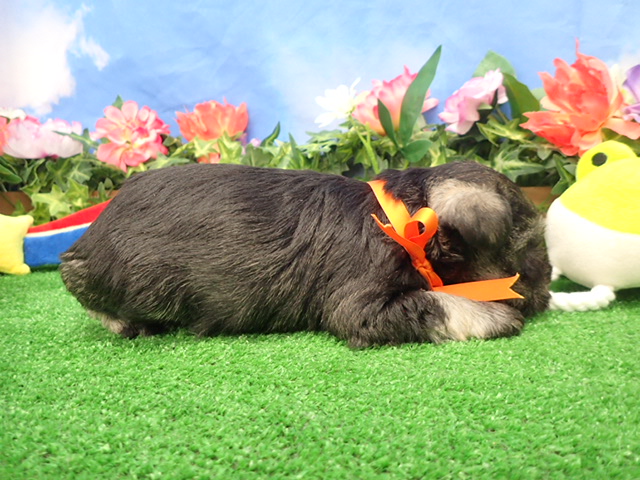 赤ちゃん写真2-2