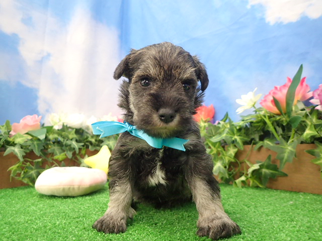 赤ちゃん写真2-1