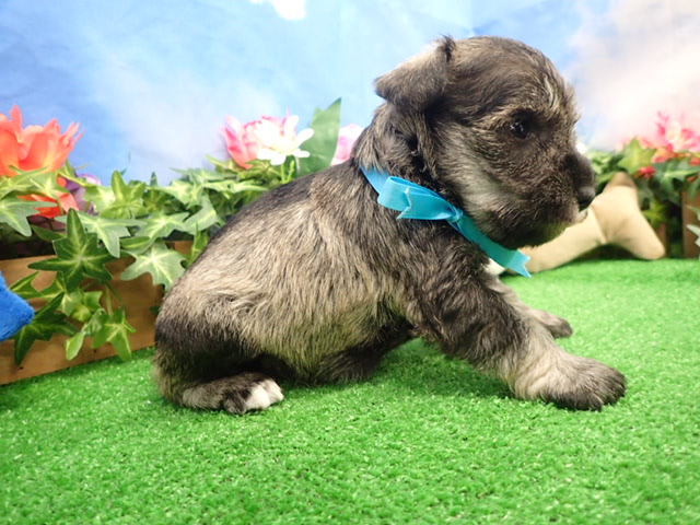 赤ちゃん写真2-2