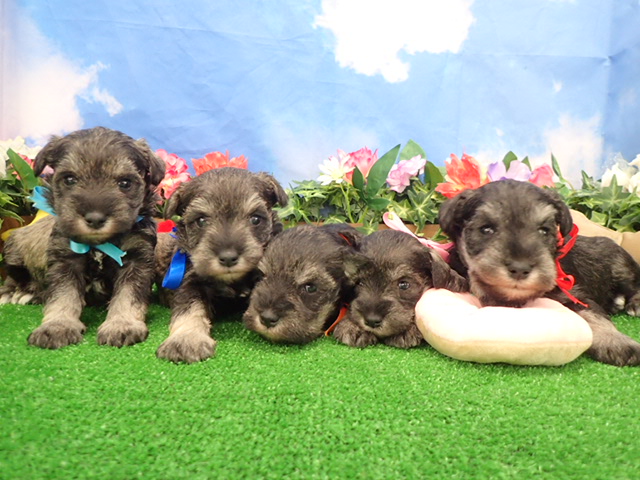 赤ちゃん写真2-3