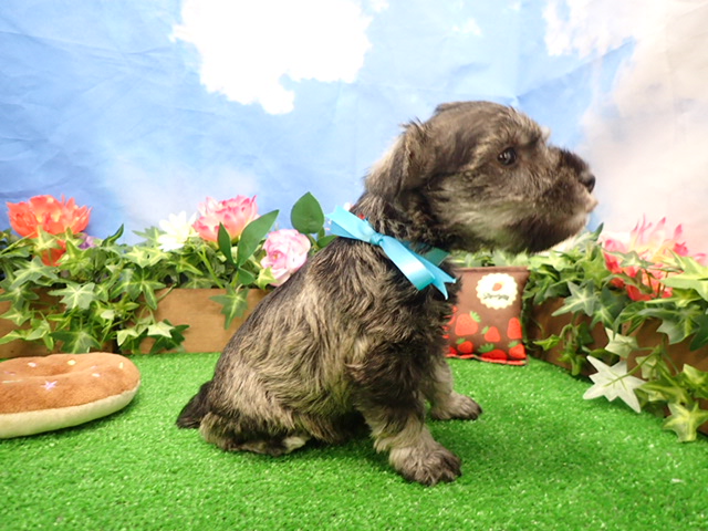 赤ちゃん写真3-2