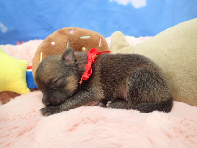 赤ちゃん写真1-2