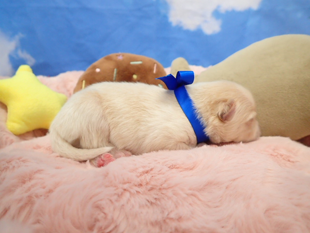 赤ちゃん写真1-2