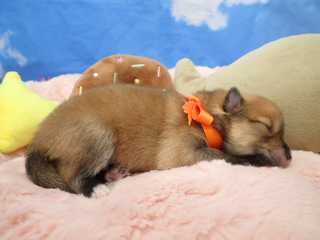 赤ちゃん写真1-2