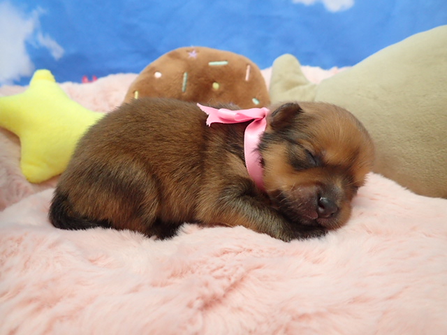 赤ちゃん写真1-2