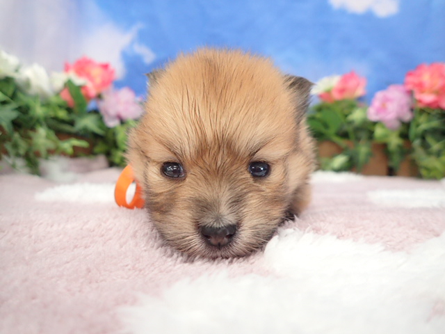 赤ちゃん写真2-1