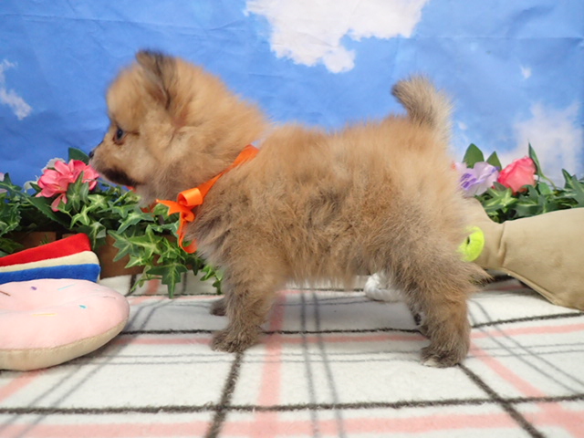 赤ちゃん写真3-2