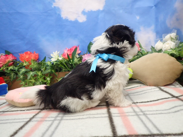 赤ちゃん写真3-2