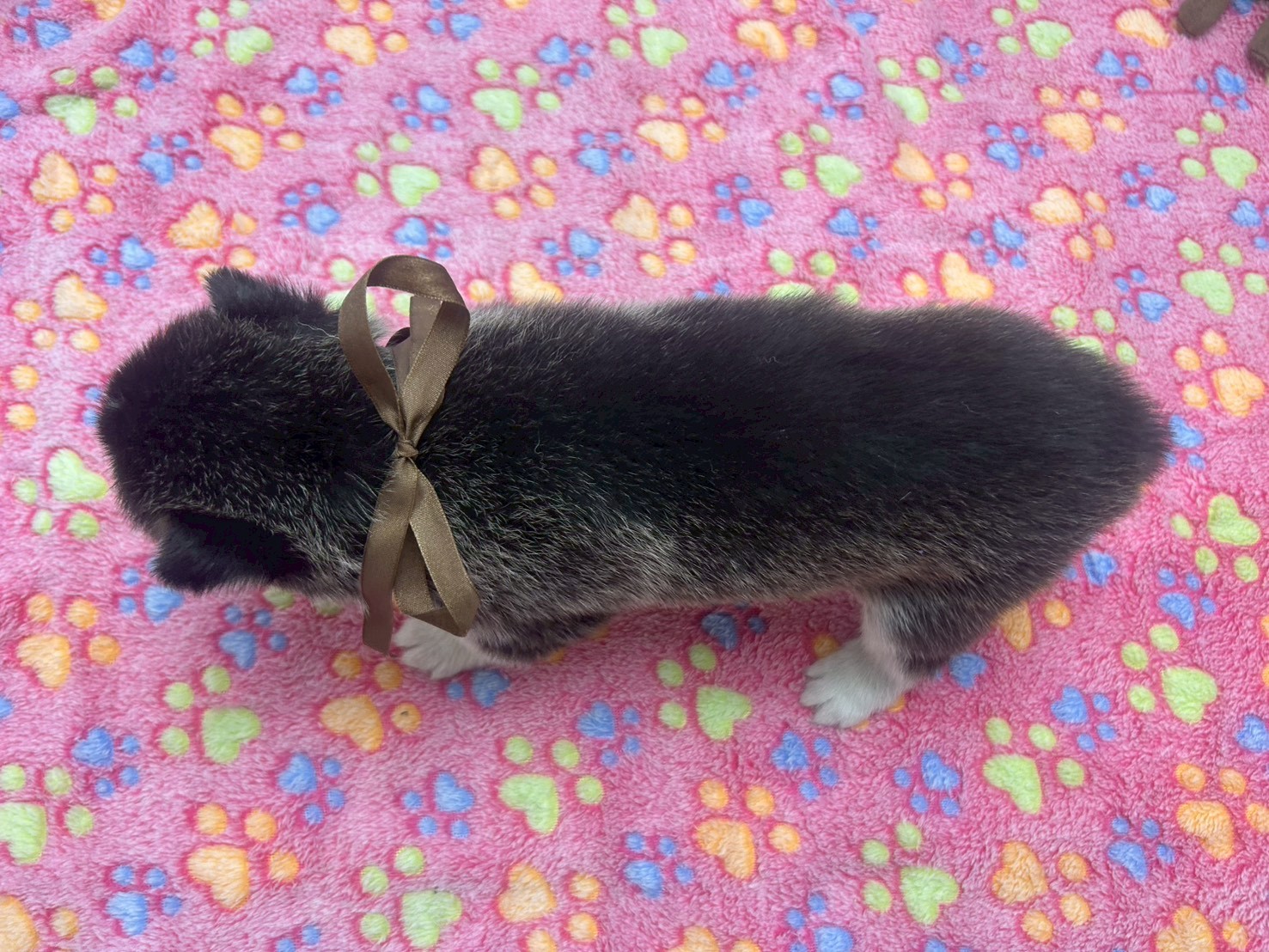 赤ちゃん写真2-3