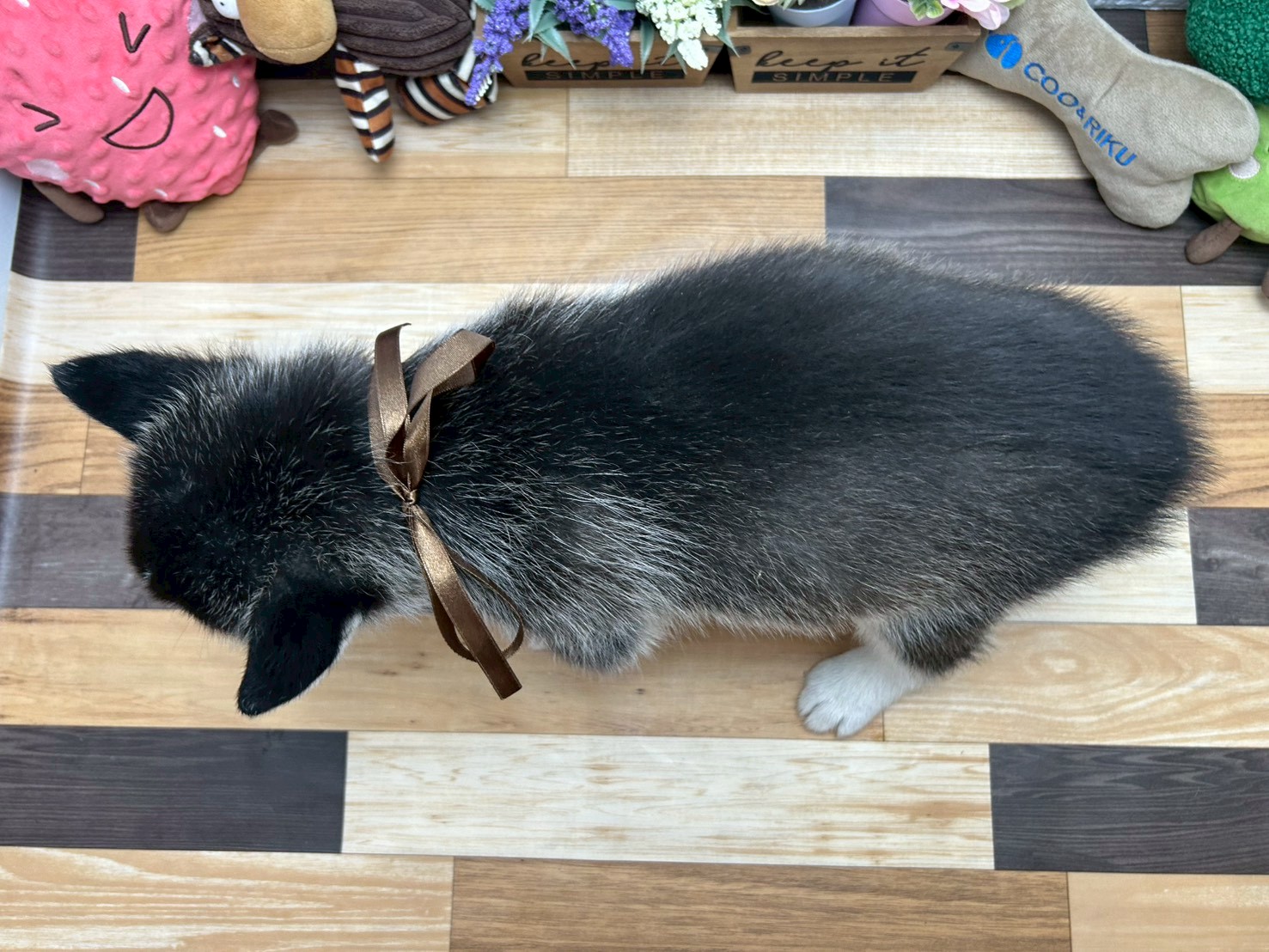 赤ちゃん写真3-3