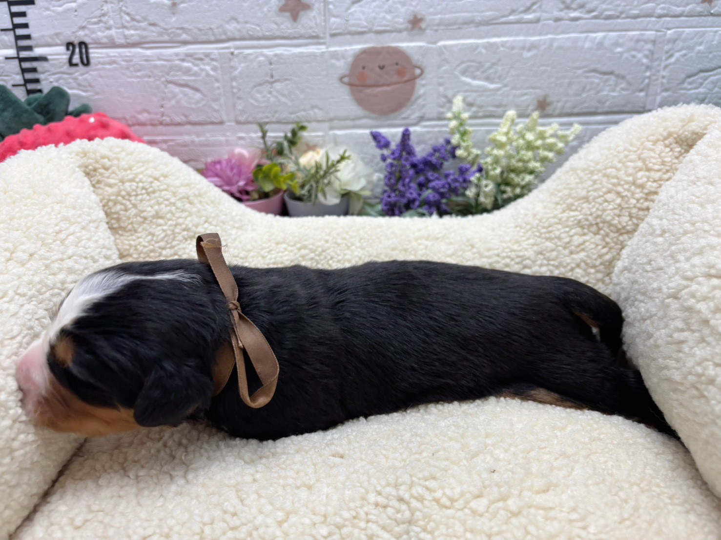 赤ちゃん写真1-2