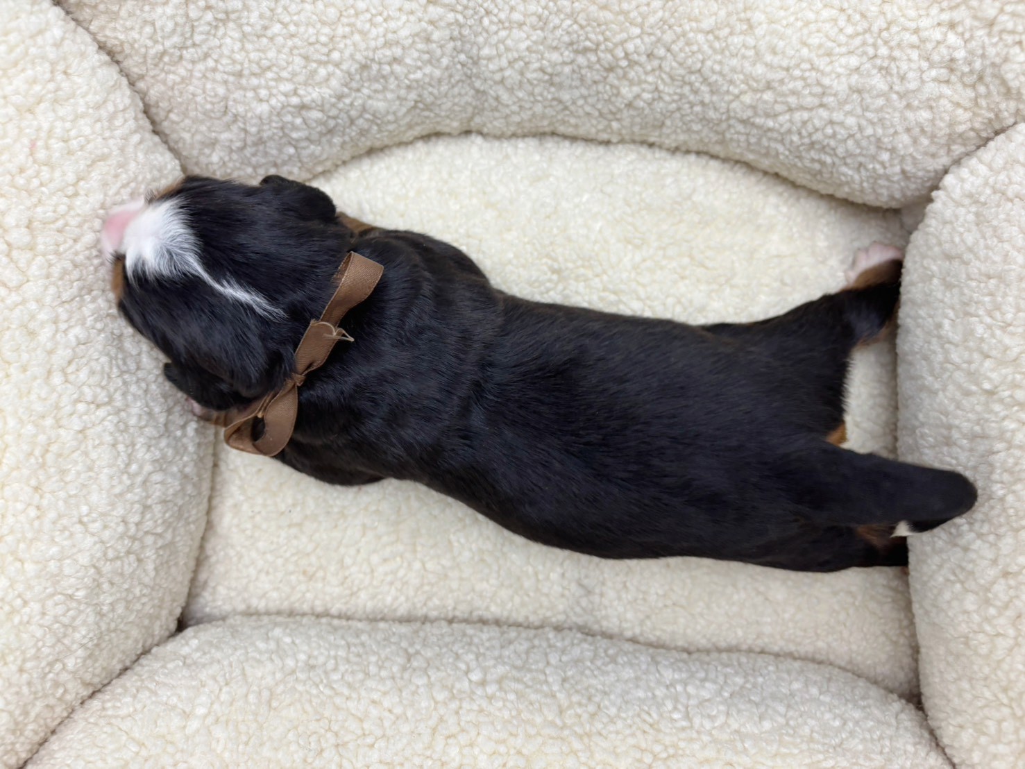 赤ちゃん写真1-3