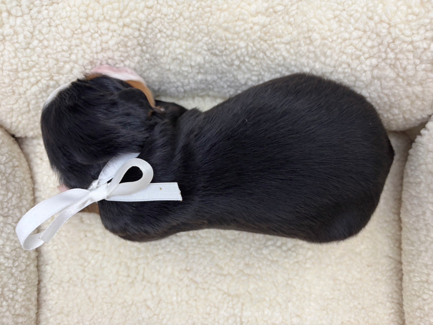 赤ちゃん写真1-3