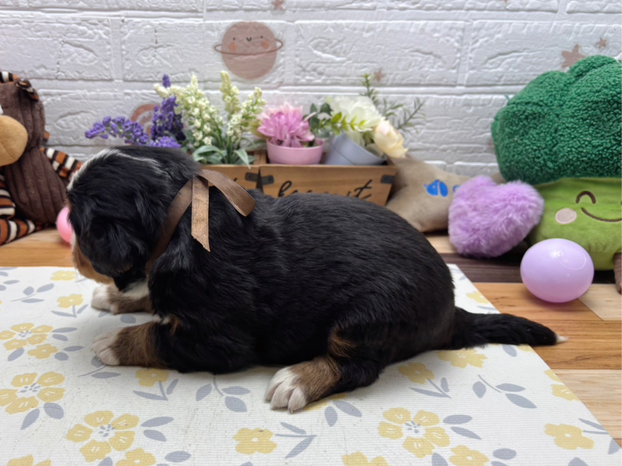 赤ちゃん写真2-2