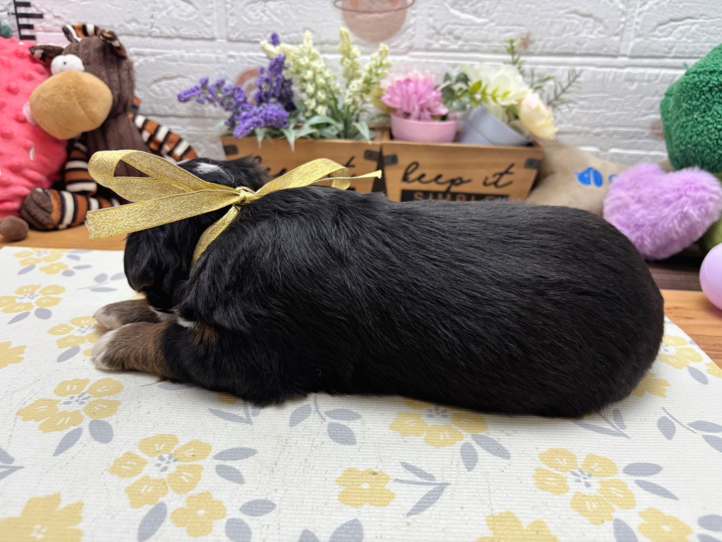 赤ちゃん写真2-2