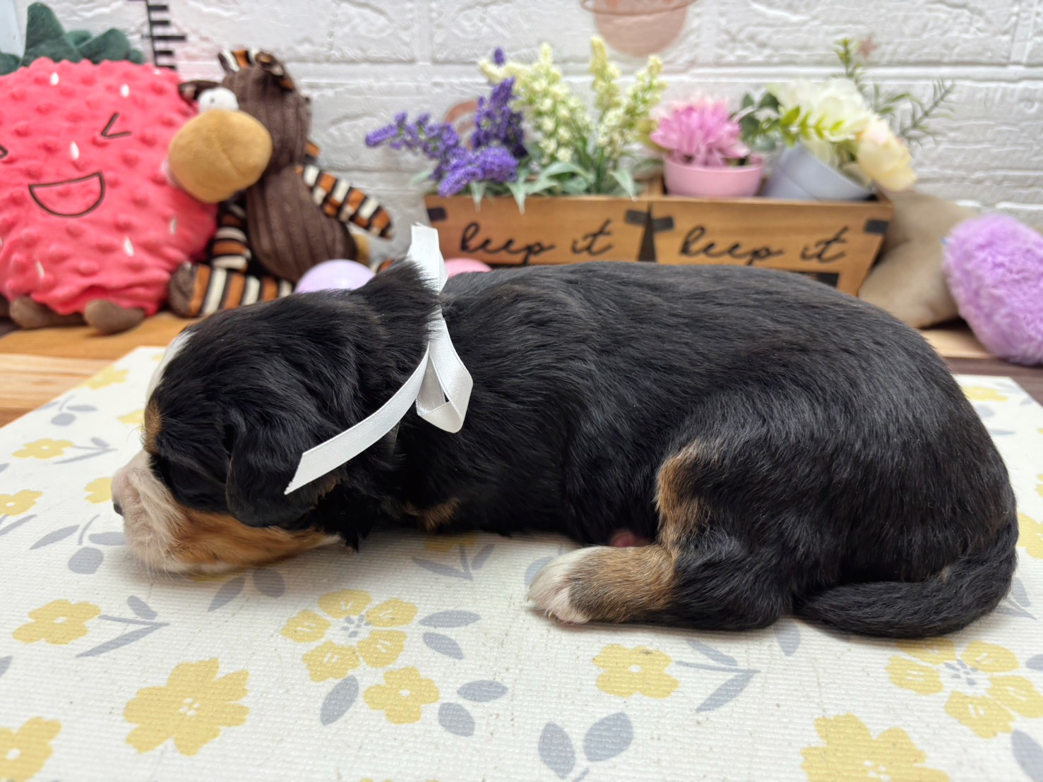 赤ちゃん写真2-2